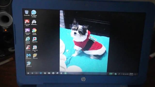 HP Stream 11 Review Early 2015 Model (Re Uploaded)