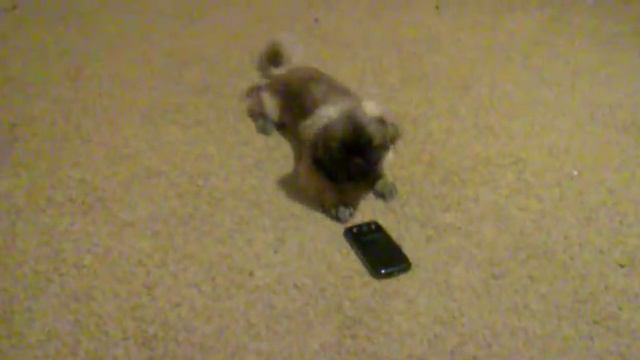 АВТООТВЕТЧИК смотреть онлайн