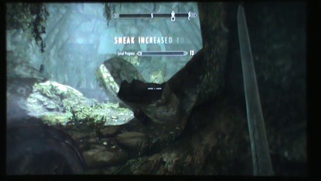 Skyrim stealth exploit, easy level смотреть онлайн