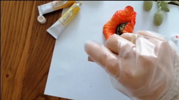 Холодный фарфор."МАКИ" МК