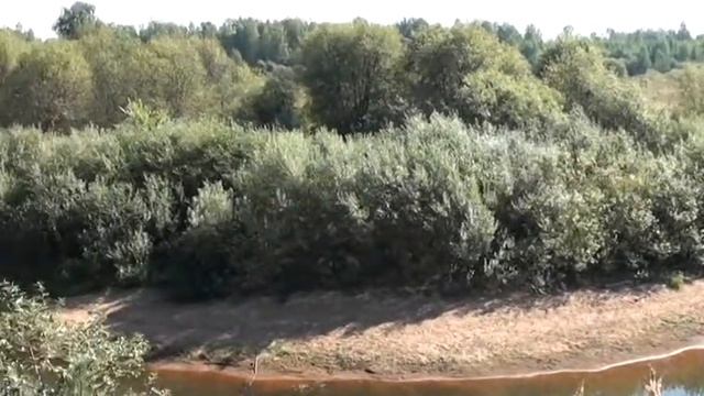 Окрестности «Усадьбы Родное» смотреть онлайн