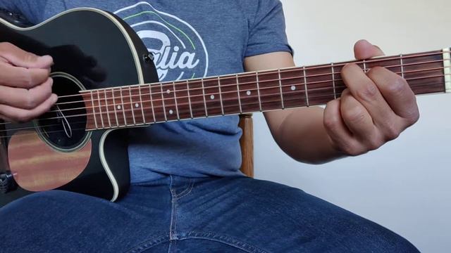 Mi nueva guitarra (Ovation) смотреть онлайн