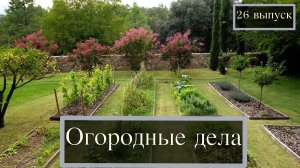 Огородные дела