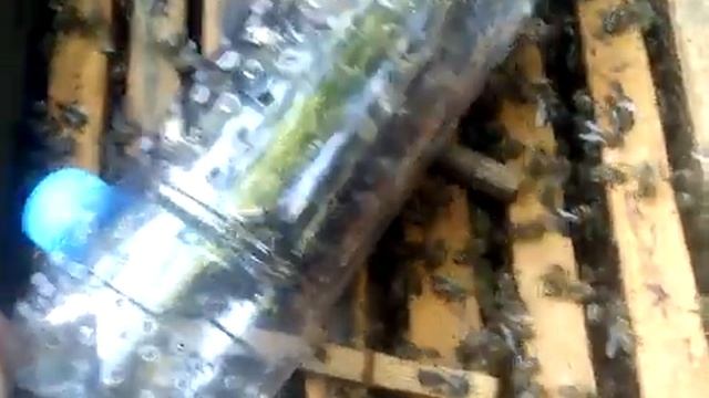 Как устроен Изолятор Джинн. смотреть онлайн