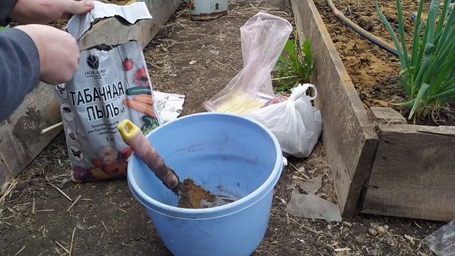 Мокрицы съели рассаду? Лучший способ избавиться от мокриц в теплице! смотреть онлайн