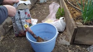 Мокрицы съели рассаду? Лучший способ избавиться от мокриц в теплице!