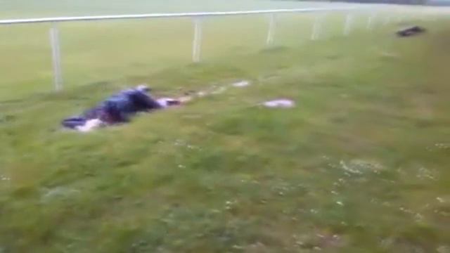 Football. Футболисты-пловцы в луже) смотреть онлайн