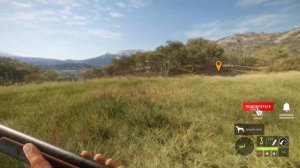 theHunter call of the wild ГАЙД? Охота на фазанов с собакой в заказнике ранчо дель Арройо в Мексике