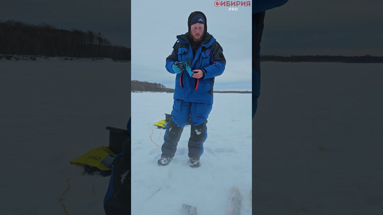 РЫБАЛКА В СИБИРИ НА КАНАЛЕ СИБИРИЯ #shorts смотреть онлайн