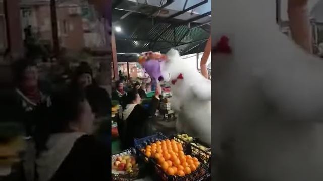 Мама поздравила дочку. Лучшее поздравление. Белый мишка смотреть онлайн