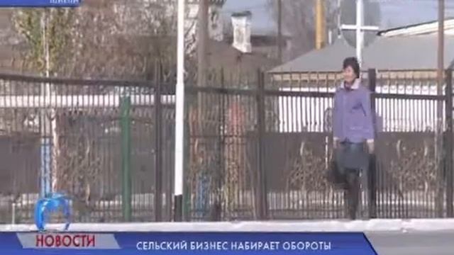 СЕЛЬСКИЙ БИЗНЕС НАБИРАЕТ ОБОРОТЫ смотреть онлайн