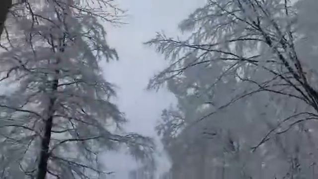 Нет сил, но иду, хочу видеть где жил король)))) смотреть онлайн