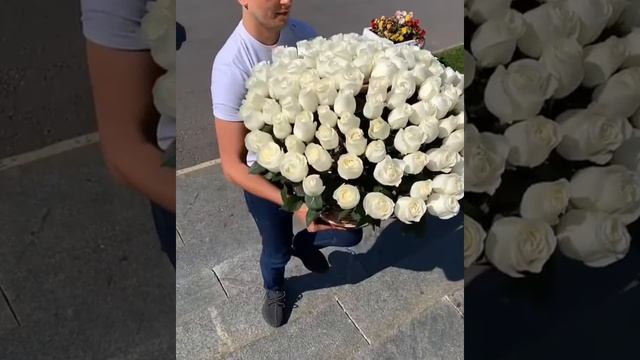 Шикарные белые розы смотреть онлайн