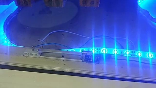 Умный улей на платформе "Arduino" смотреть онлайн