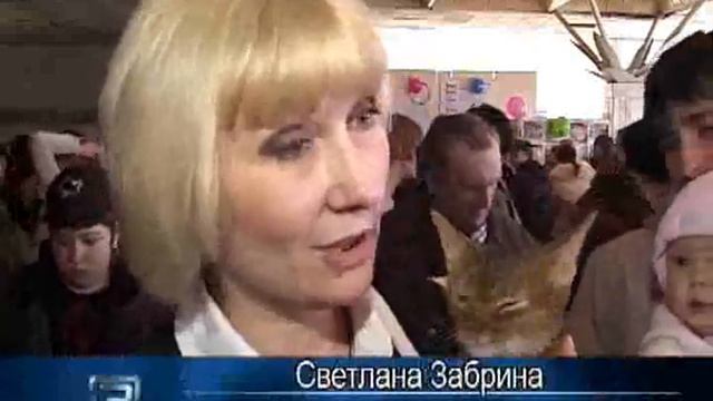 Орел Истоки trk-istoki.ru 03.04.2011 смотреть онлайн
