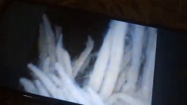 Эндоскоп 6мм смотреть онлайн