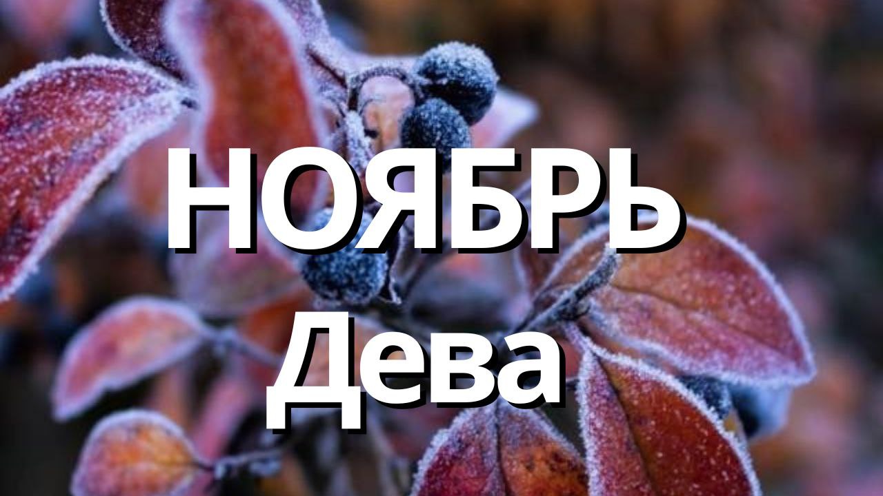 ДЕВА НОЯБРЬ 2023 [Таро прогноз] смотреть онлайн