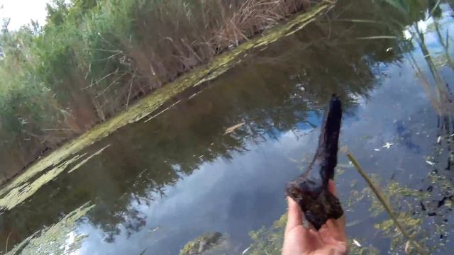 КАК НАЙТИ КОРЯГУ ДЛЯ АКВАРИУМА!!! смотреть онлайн