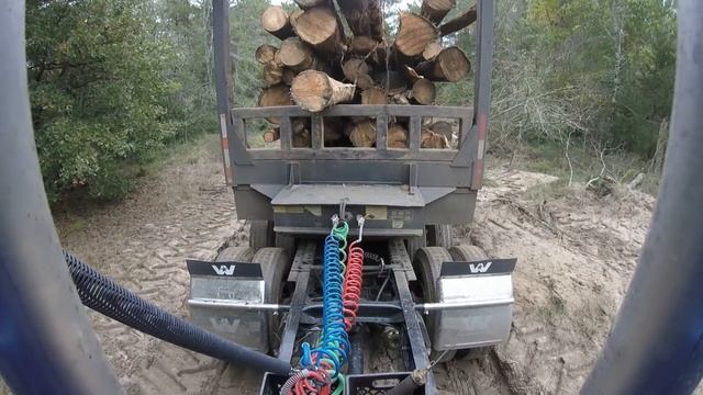 A day in A log truck. смотреть онлайн