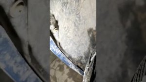 замена ламп птф (противотуманок) на renault megane 3 ,на светодиодные