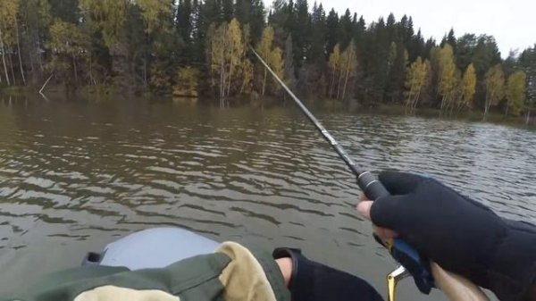 Black Hole SWIFT, OSP Varuna. Рыбалка. Щука. Октябрь