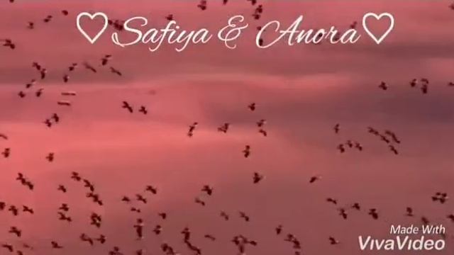 красивое стихотворение смотреть онлайн