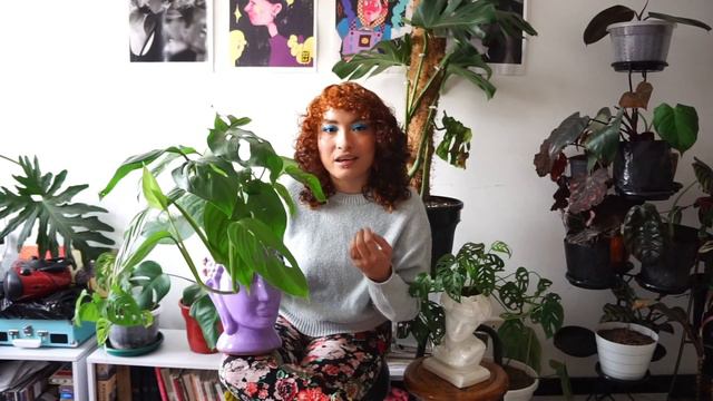 PLANT TOUR Pt 1 ✨MI COLECCIÓN DE MONSTERAS - Colombia✨ Jardín del Sol, Plantas🪴🏡 смотреть онлайн