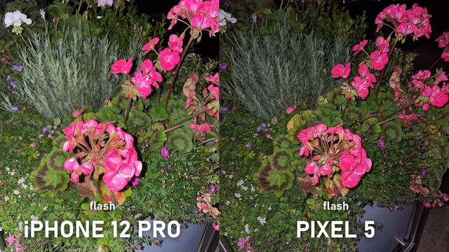iPhone 12 Pro vs Pixel 5 Camera Comparison - Night Mode / Portrait Night Mode / Video / Wide / Zoom смотреть онлайн