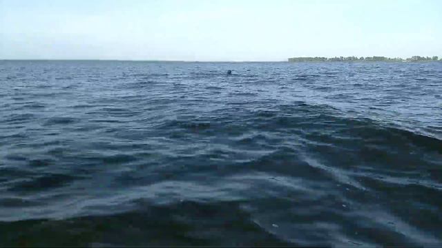 Преодоление водной преграды смотреть онлайн