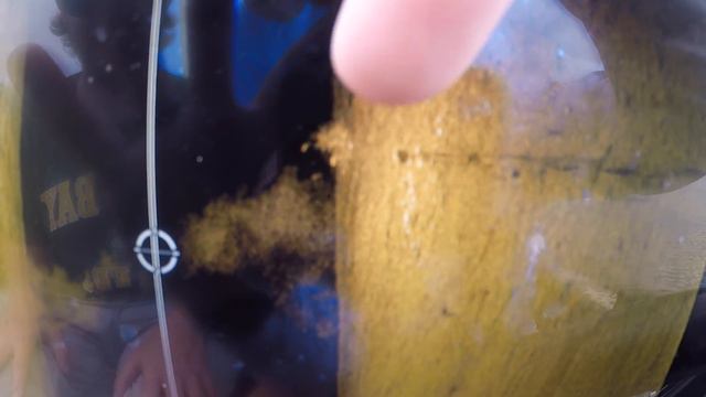Day 5: Justin Atkins on the Forrest Wood Cup смотреть онлайн