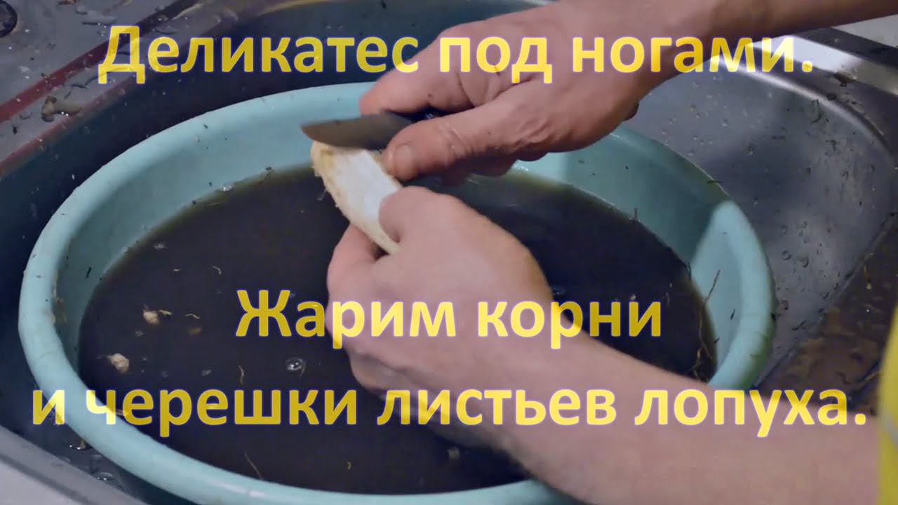 ВЕРШКИ И КОРЕШКИ, часть 5.  Деликатес под ногами. Жарим корни и черешки лопуха.