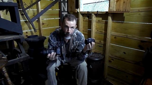 TAMRON 70 300mm Zoom Lens For Nikon D3100 Review