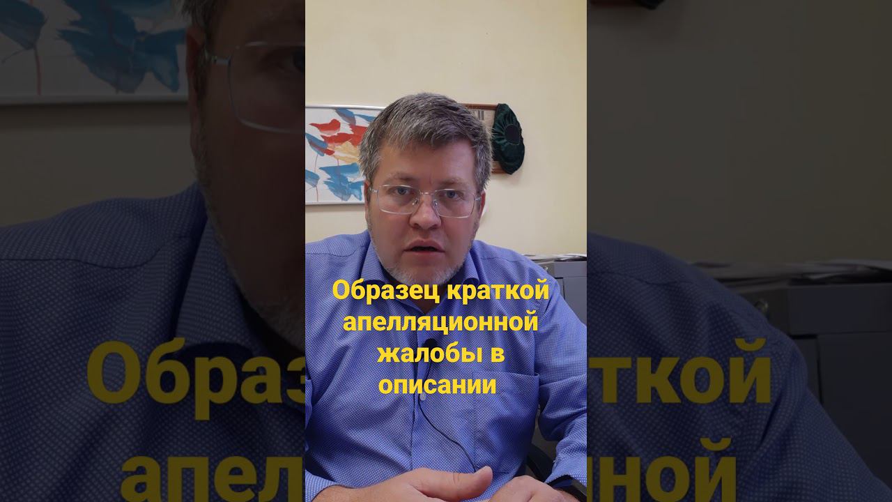 Что такое краткая апелляционная жалоба? смотреть онлайн