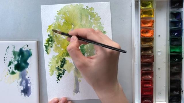 Как нарисовать дерево. Рисуем березу смотреть онлайн