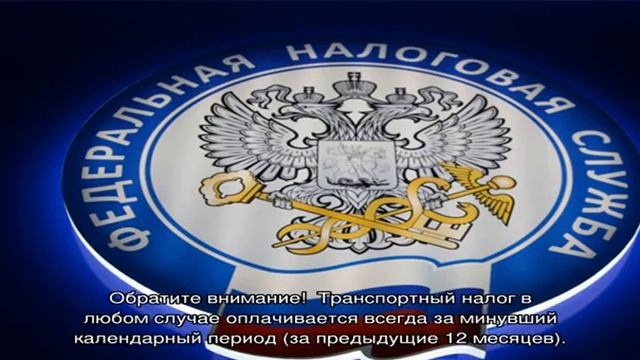 Срок уплаты транспортного налога смотреть онлайн