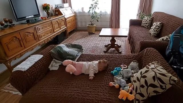 Vlog #72 Продуктивное утро мамы домохозяйки. Покупки из магазина Лидл. Герда болтает. смотреть онлайн