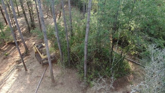 How to cut roads into your farm/hunting property using a Forestry Mulching machine. смотреть онлайн
