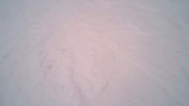 Уктус. Открытие сезона ч.2 смотреть онлайн