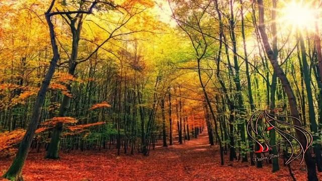 Послушаем музыку