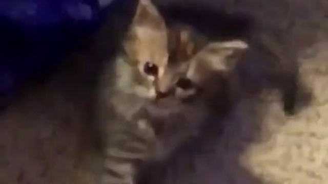 нет,это ты иди ко мне смотреть онлайн