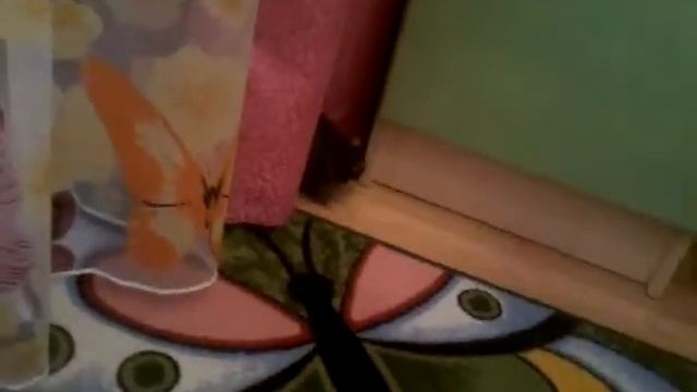 Какого лучше взять крысу девочку или мальчика смотреть онлайн