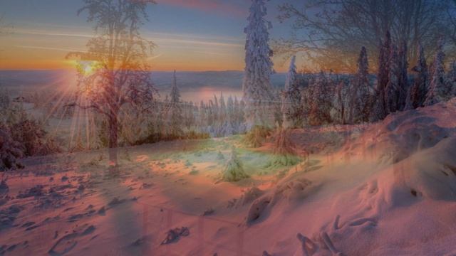 Охотники за плотью. Обитатели параллельного и эфирного уровня внутренней Земли.