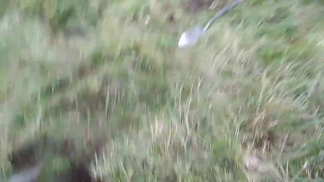 Тихон против тёрки.  Лучший металлоискатель.