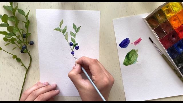 Рисуем чернику акварелью с натуры. Рисование онлайн для начинающих смотреть онлайн