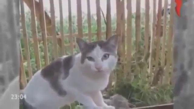Новый выпуск 100500 Пожарный Киборг смотреть онлайн