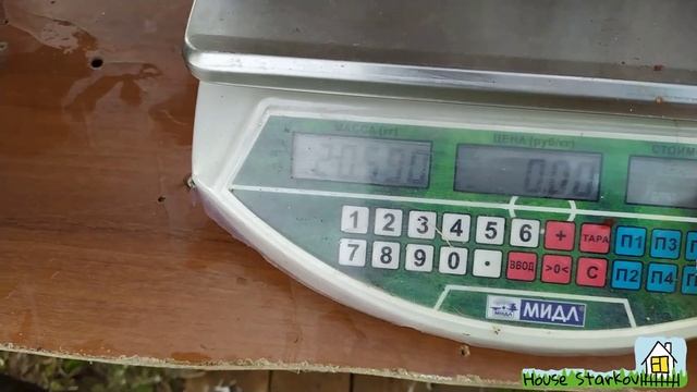 17. Индюкам Хайбрид Конвертер 6 мес. Забой и выводы. смотреть онлайн