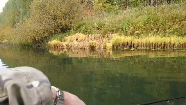 Рыбалка в сентябре. Рыбалка по речке Виледь. День первый. смотреть онлайн
