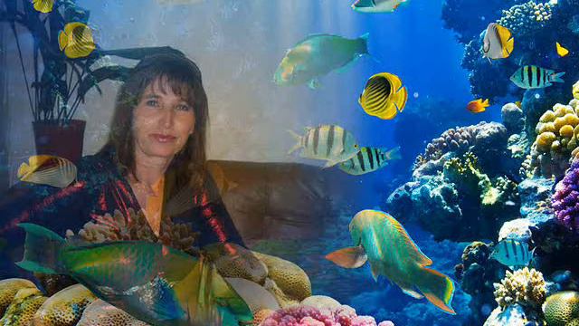 Я ЛЮБЛЮ ТЕБЯ ЖИЗНЬ.....wmv смотреть онлайн