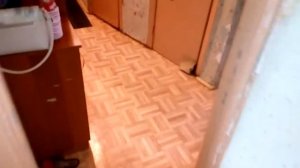 Как избавиться от короеда.