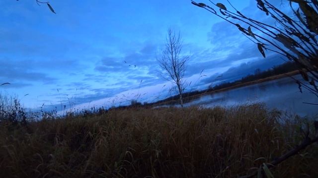 УТКИ НЕ УЛЕТЕЛИ. ОСЕННЯЯ ОХОТА. АВТОРСКИЕ СТИХИ.#охота#утки#стихи смотреть онлайн